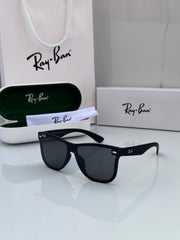 RB unisex wayfarer polarized sunglasses 🕶️ 650