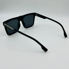 BARBERY Black  Sunglasses